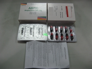 China A ampicilina encerra 250MG 500MG BP/medicinas penicilina de USP fornecedor